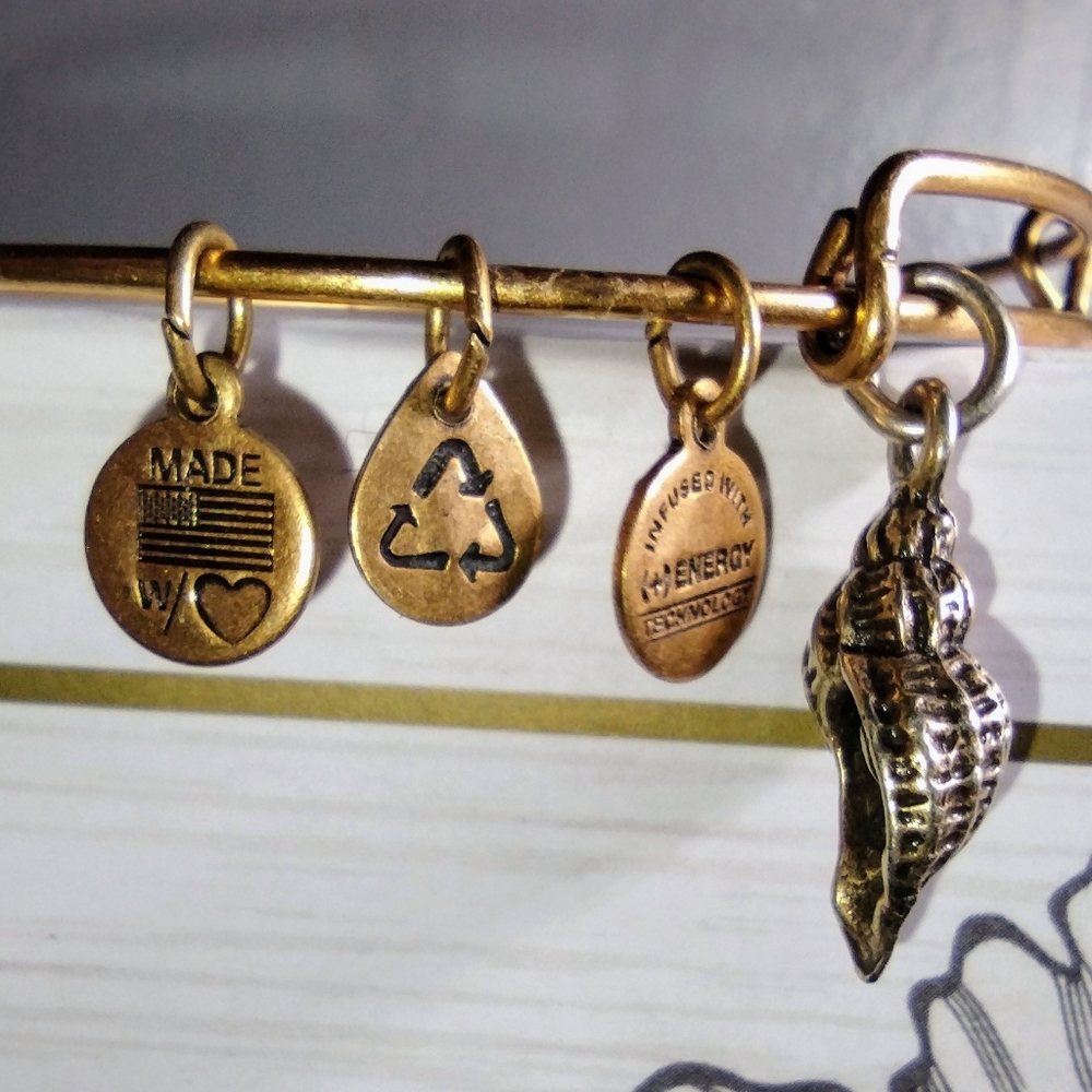 Vintage Alex & Ani bracelet with conch shell